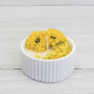 Captura de pantalla 2026-02-06 a las 12.18.05 p. m.